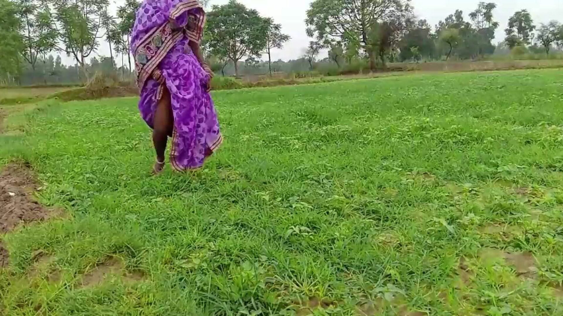 couple indien nouvellement marié profiter du sexe en plein air